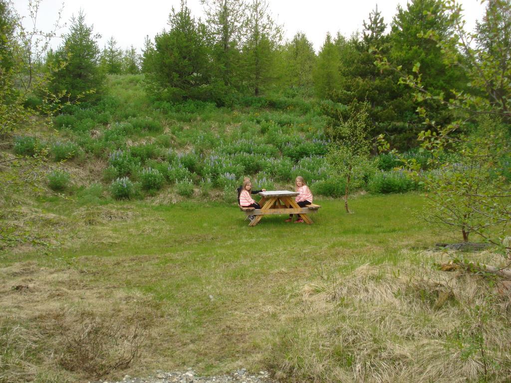 Vinland Camping Pods Egilsstadir Phòng bức ảnh